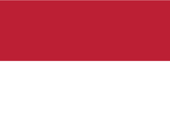 Flag-31